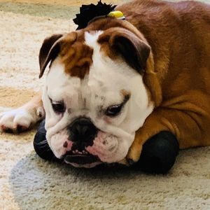 Meet your Posher, Merredith